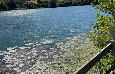 La Ferme de la Croix - Foto 42