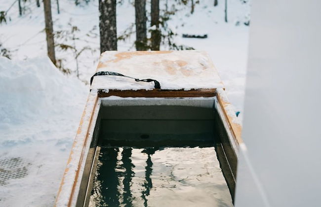 The Alder By Revelstoke Vacations - Photo 30