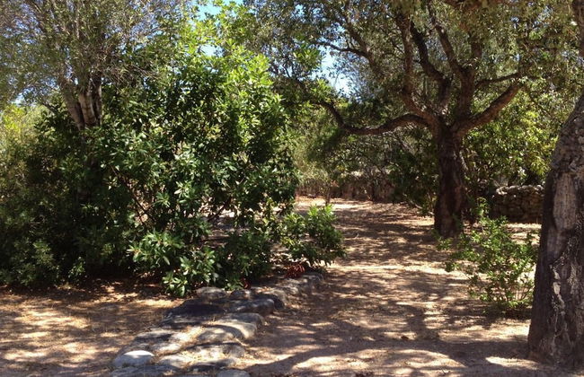 SVS - Lu Impostu Villa e Apartments - Foto 35