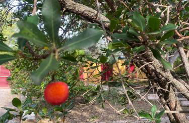 Chalet con piscina vistas y salida a parque natural - Foto 24