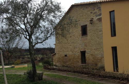 Quinta Damigo - Foto 13