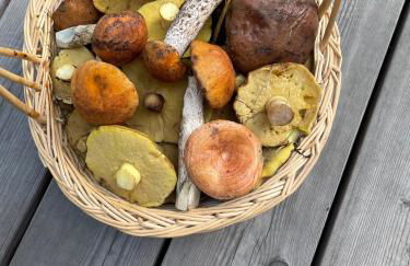 Niemtscher Lodge am See - Foto 11