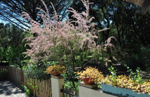 Le Mazet des Cigales - Foto 22