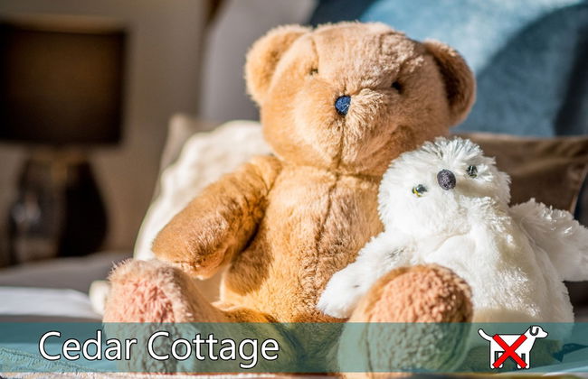 St. Tinney Farm - Photo 46