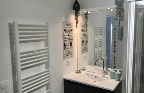 Studio neuf déco vintage face mer,terrasse ,jardin,wifi,parking sous-sol - Foto 17