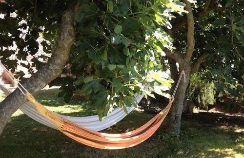 Podere Porcino - Foto 30