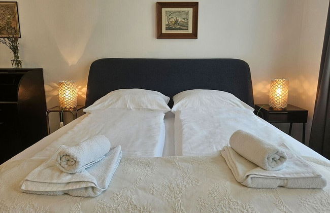 Orange Palm - Foto 7