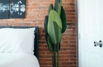 Fells Point Charm Doubled! - Foto 44