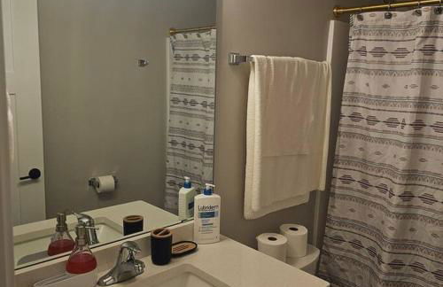 Completely Modern Furnished Private House Near Mayo Clinic - Foto 29