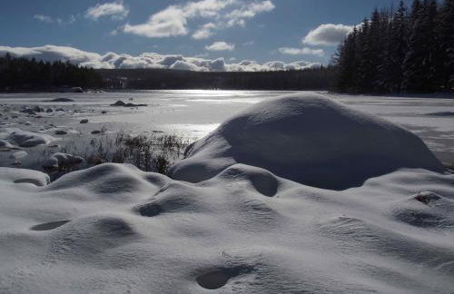 Gîte au calme pleine nature près d'un ruisseau - Foto 30