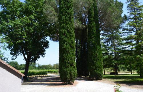 Agriturismo Barcavecchia - Foto 59