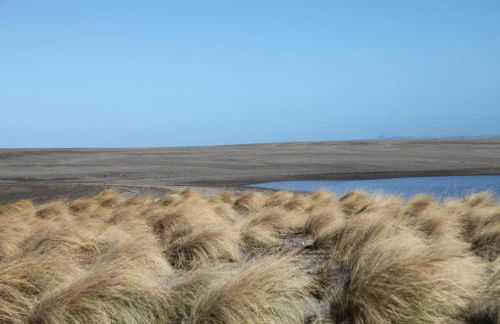 Ermes House - Foto 21