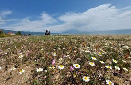 VILLA SEVI - Foto 26