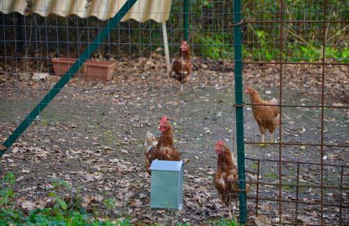 Il Giardino Secreto - Foto 44