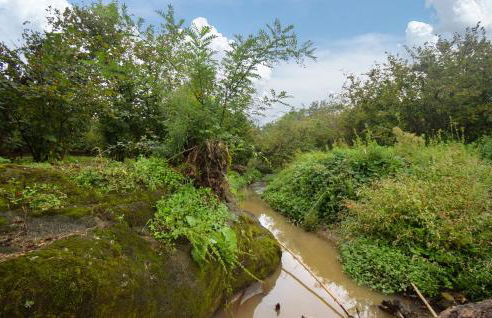 Awesome Home In Vignanello - Foto 9