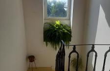 Casina Grassi In Salento - Foto 32