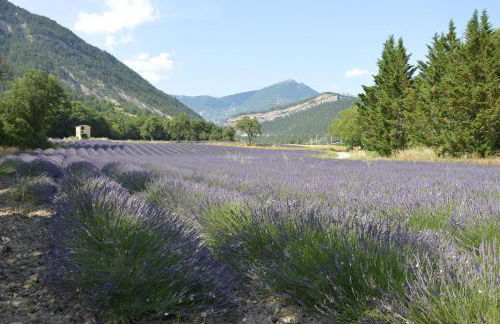 Le gîte de Valérie côté jardin - Foto 31