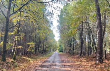 Chalet dans les bois - Foto 12