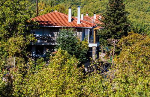 Σπίτι στο Τείχιο με θέα Βαρδούσια και Γκιώνα - Foto 32