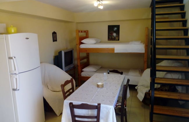 Garden Of Olive Trees - Photo 2