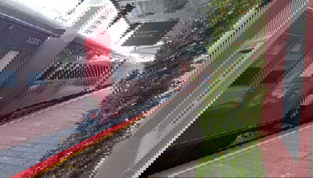 Excursão de trem Maria Fumaça + Visita a uma vinícola em Bento Gonçalves - Foto 1