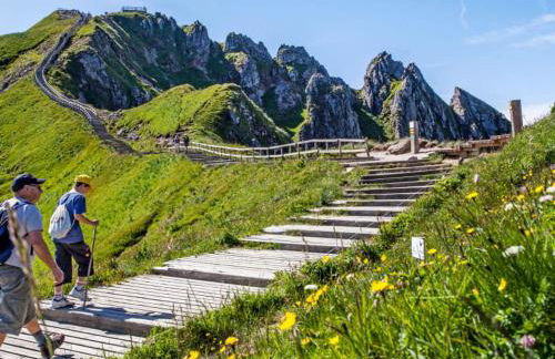 La forêt des Marmottes - Photo 21