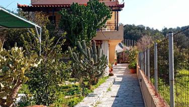 KONSTANTINA'S HOUSE - Foto 1, Garden, Garden view