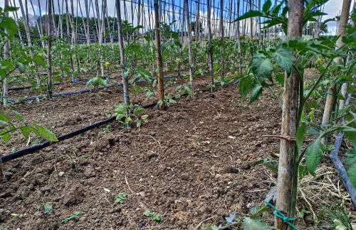 Agriturismo Ponterosa - Foto 84