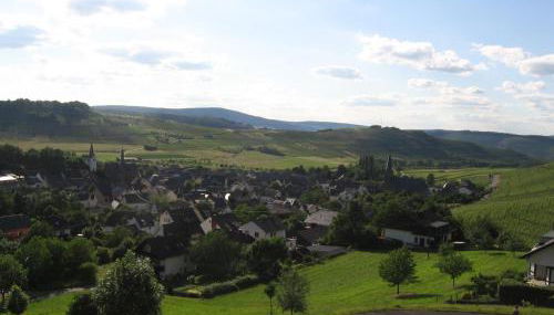 Kruft Veldenz - Foto 5