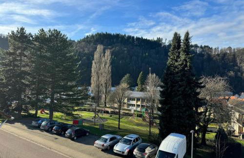 Apartment in Gernsbach - Photo 27