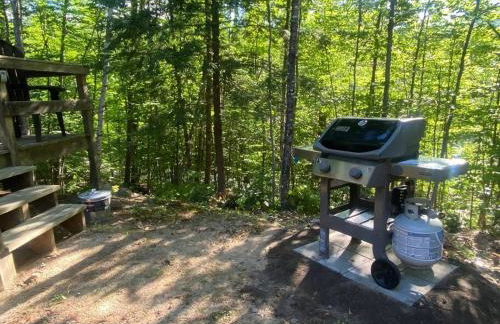 Private Cabin on 1.7 acres w/ Fireplace White Mtns - Photo 7