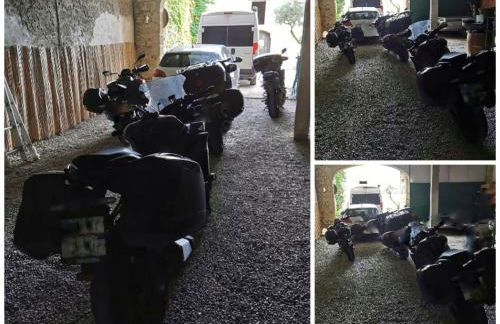 Les Gîtes sous l' Olivier en Camargue - Photo 29