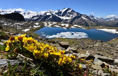 Residence Casa Federica - Foto 28