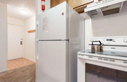 Summit Condominium #273 Condo - Foto 15