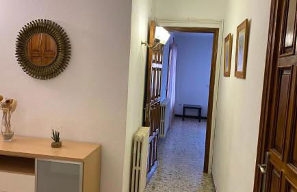 Les oliveres de l'Empordà - Foto 16