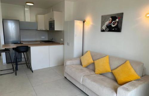 Super Apartment, Parking, Terrace, Lift, WIFI, Palm Beach, Cannes - Photo 12