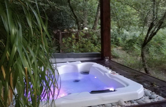 Les Landines - Foto 28