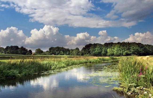 Getaway With Covered Veranda - Photo 40