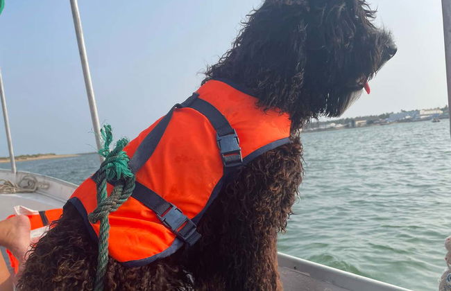 Paseo en barco por el río Guadiana - Foto 4
