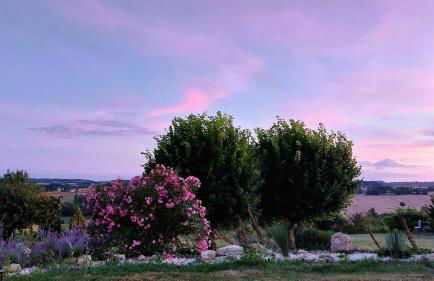 Maison Gasconne, 6 chambres, piscine 14x5, vue sur les vignobles - Photo 30