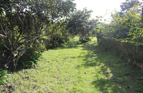 Mar D'Abstração - Photo 14