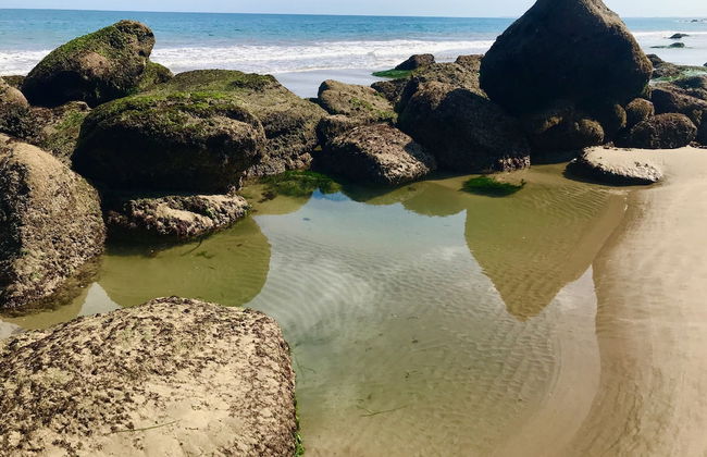 Bella casa en la playa de Canoas de PS - Foto 12