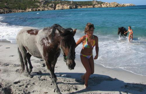 Résidence de Tourisme Mare e Macchia - Foto 34