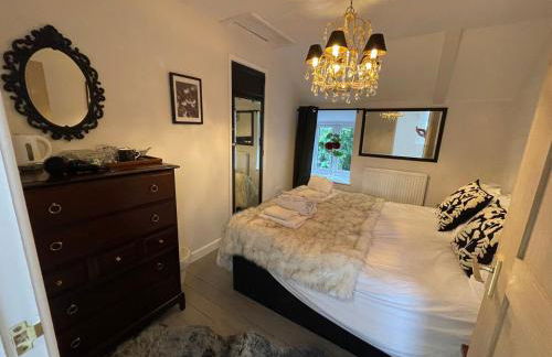 Grand Elegant Georgian Villa Wye Valley National Park - Foto 63