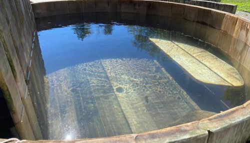 Gîtes et yourte le Tucaou avec bains nordiques - Foto 3