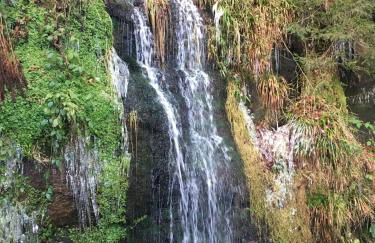 Fewo Nationalpark Schwarzwald - Foto 35