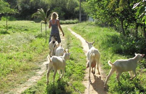 Quinta Boavista - Foto 18