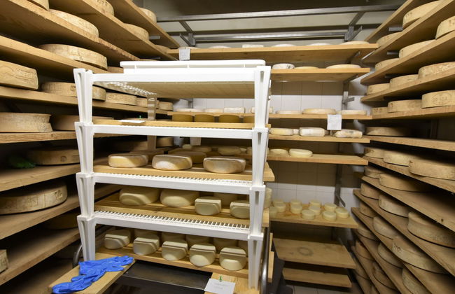 La Cà Vegia - Foto 21