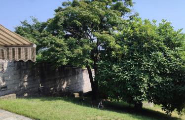 Villa Verde - Foto 31