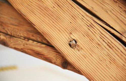 Ferienwohnung "Zur Krone" - Foto 5